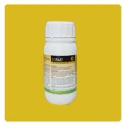 Insecticide