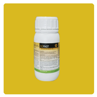 Insecticide