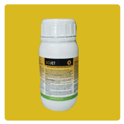 Insecticide